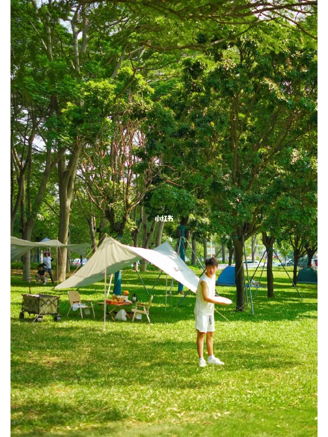 我宣布❗️这是东莞市区最舒服的露营地