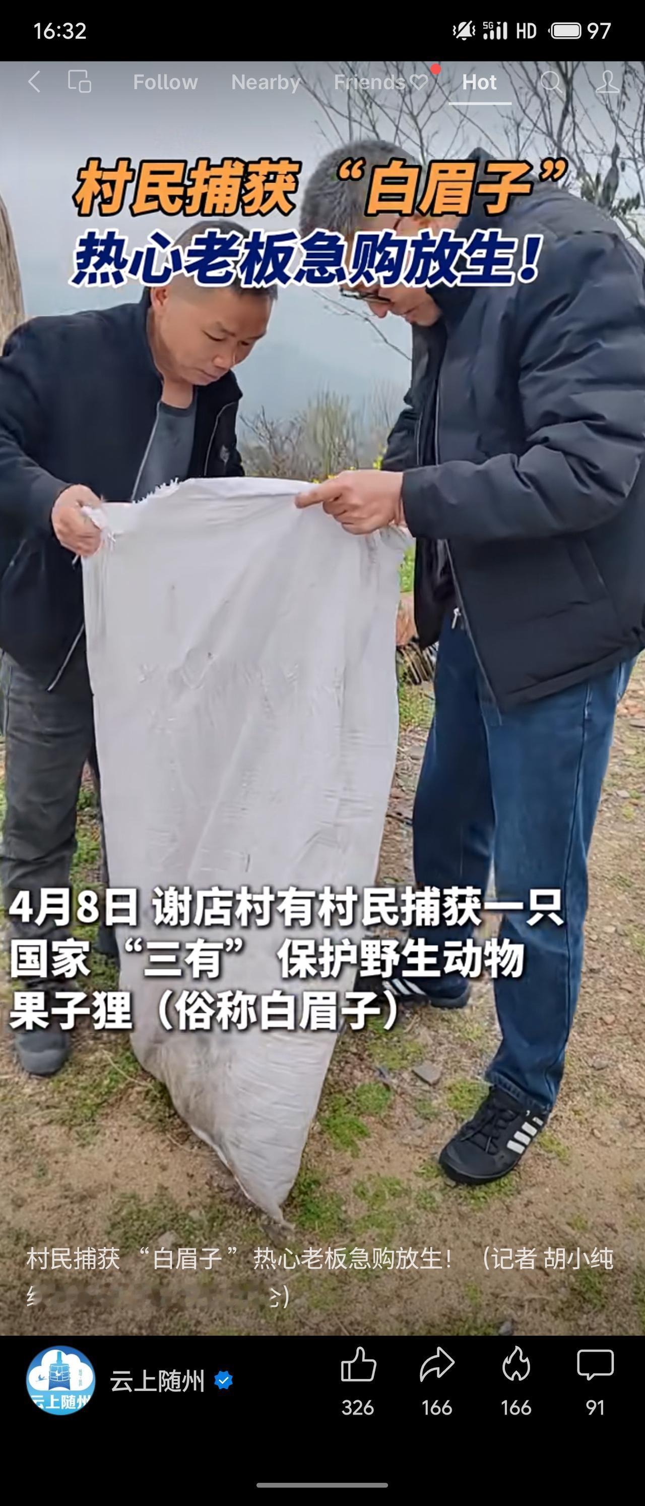 晒出你的本地生活4月8日，随州大洪山谢店村村民捕获一只国家“三有”保护动物果子狸