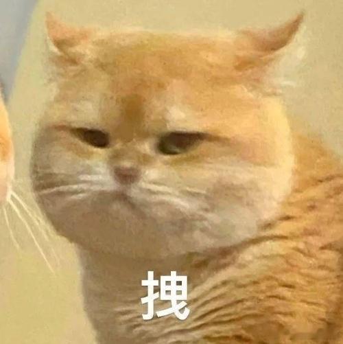 #今天追了什么剧# ​​​