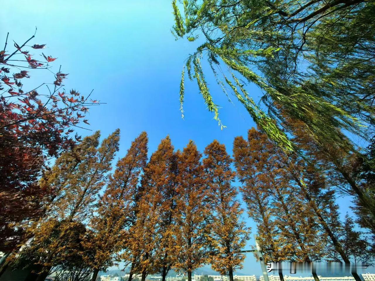 别人收入高，那是有原因的。

早上我睁开眼拿起手机爬起来看头条信息，发现那些优秀