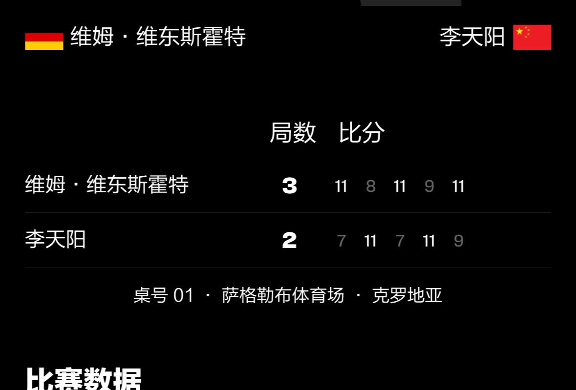 李天阳2比3维姆 