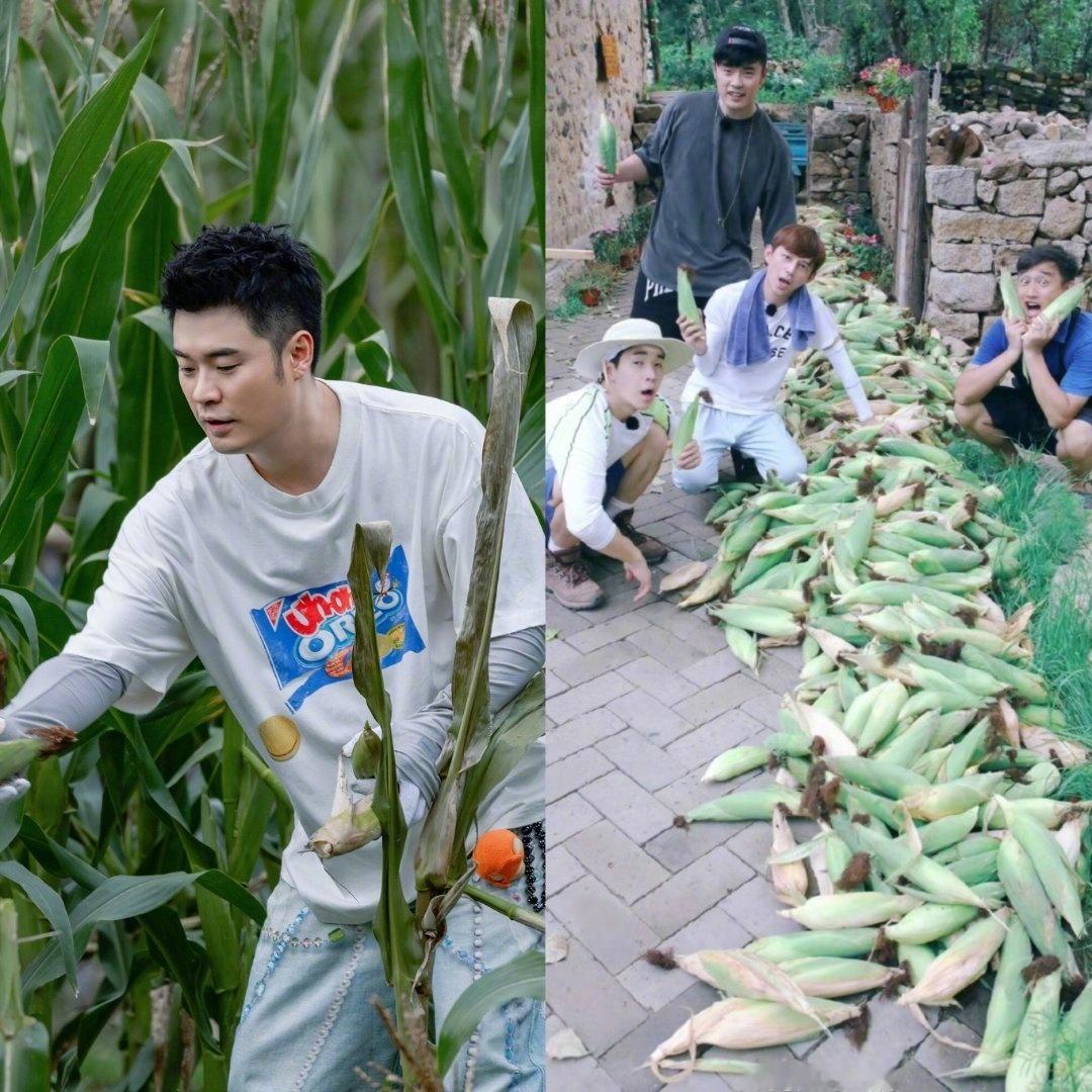 陈赫你别累着但也别闲着向往的生活 赫哥和玉米地的羁绊也太深了！从第一季掰到第七季