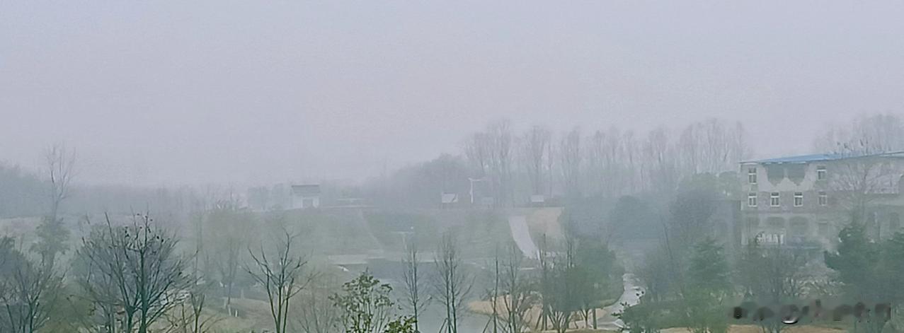 七律•冬雨
安徽阜阳，冬季不见雨雪，两月有余，年关临近，忽降雨几天，今晨早起，见