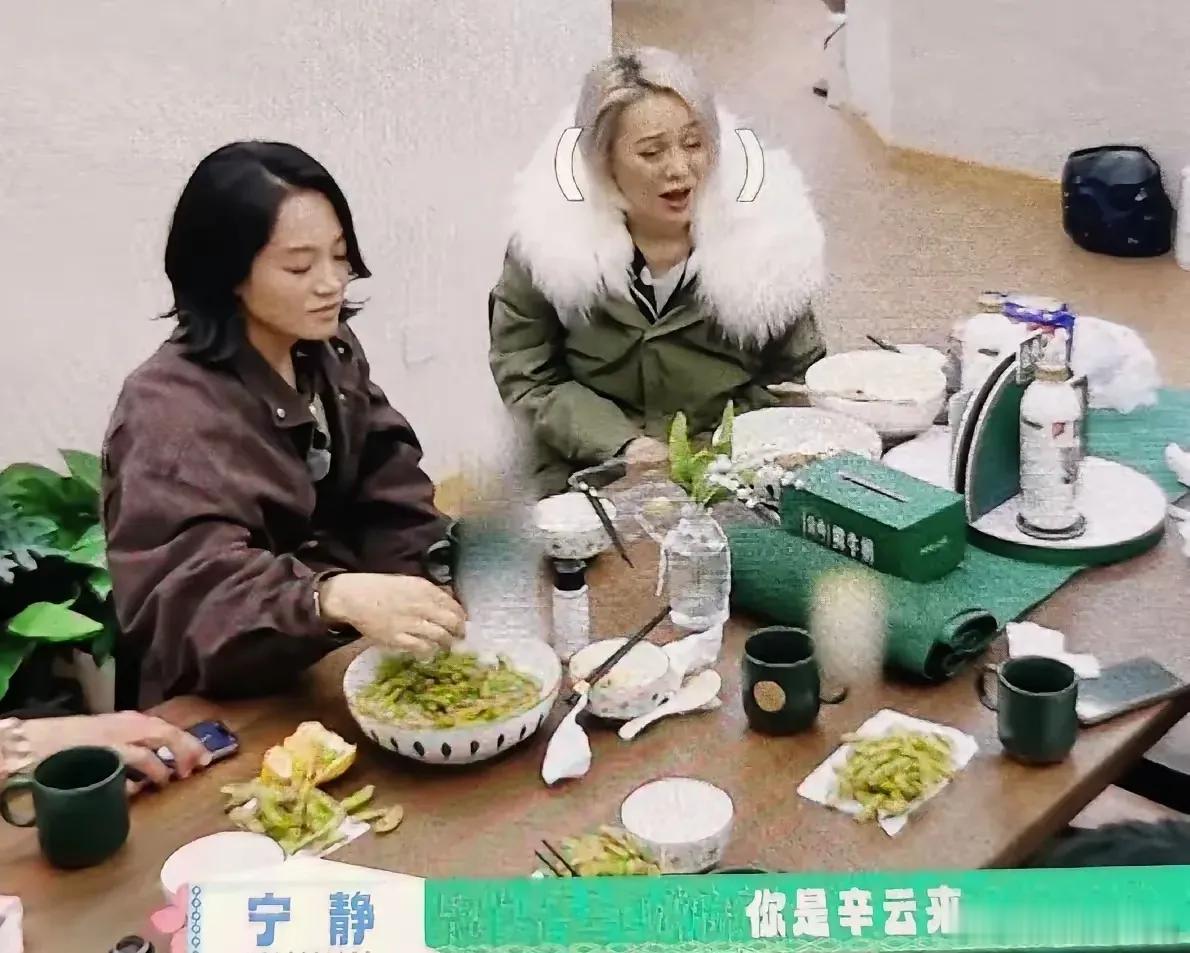 辛云来本就倍受诟病的颜值，在宁静的三连问下，更加岌岌可危。综艺节目里，宁静实话实