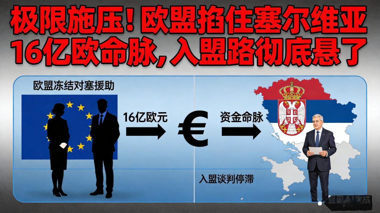 极限施压！欧盟掐住塞尔维亚16亿欧命脉，入盟路彻底悬了
 
据法新社2月12日报