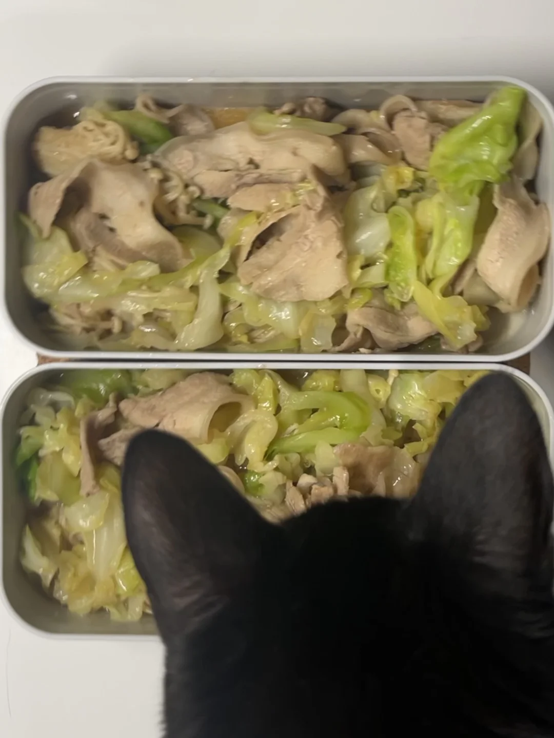 怪不得便当里总是出现猫毛