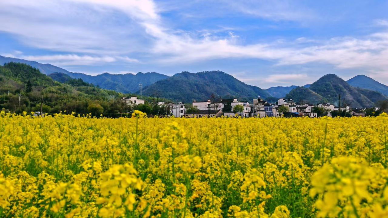 世界再大，有人在乎，就是最大的幸福
 
人这一辈子，走的路越来越长，见的人越来越