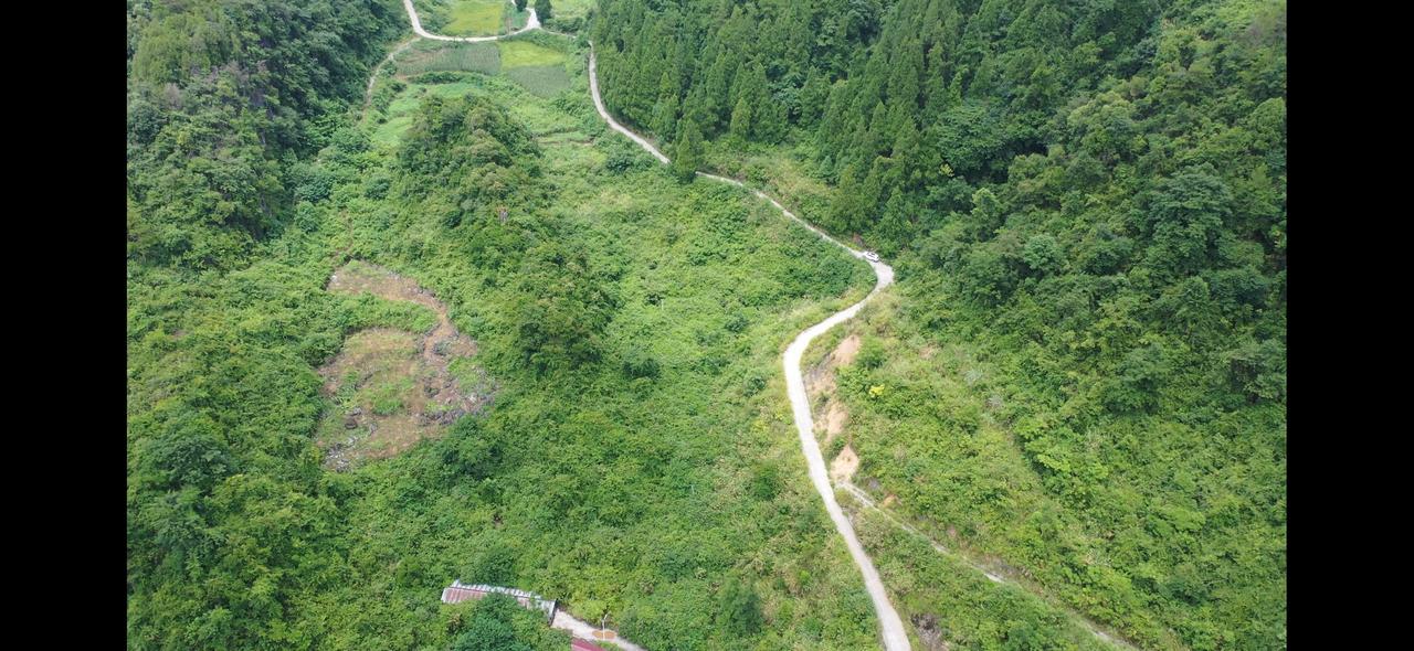 这几天我有一个朋友，在四川绵阳流转了700亩荒山，现在这个朋友买断了34年的使用