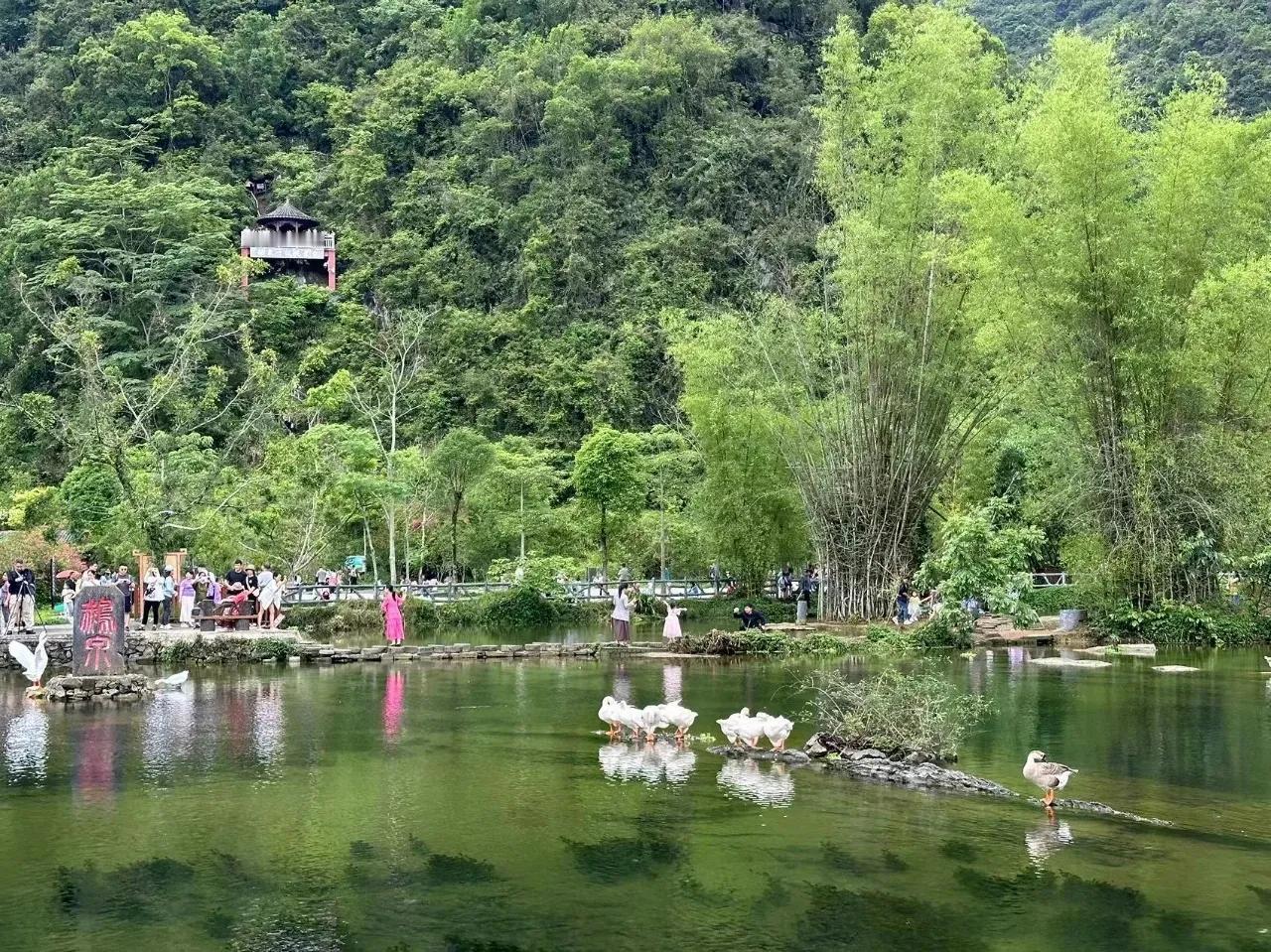 我的春景
春风快意马蹄疾，
云中雨润新绿衣。
村子换装城改貌，
杨柳垂青满河堤。