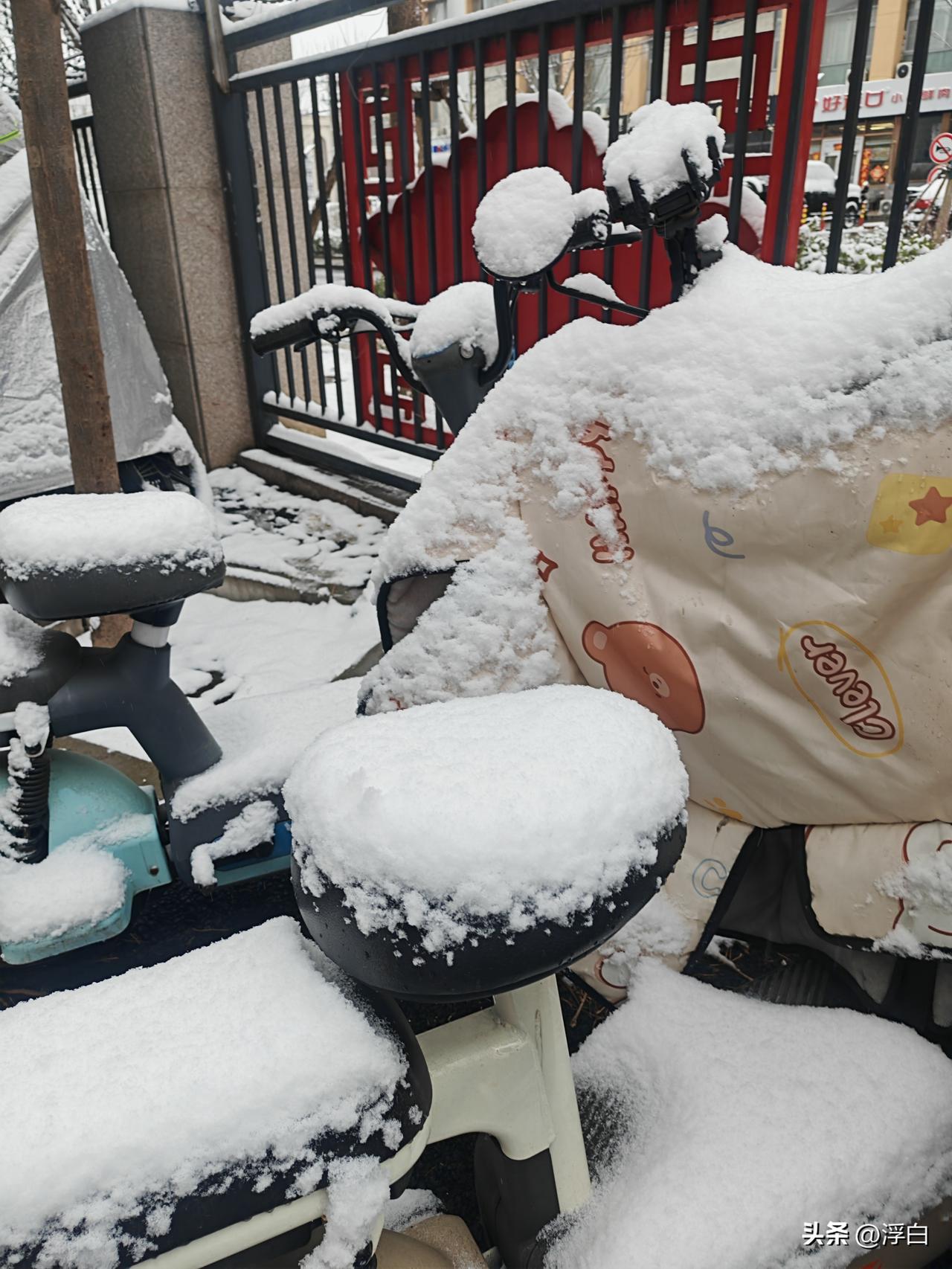 大学生的天塌了，工作不好找，都要卷家政行业了嘛！

 2026年3月4日：全国人