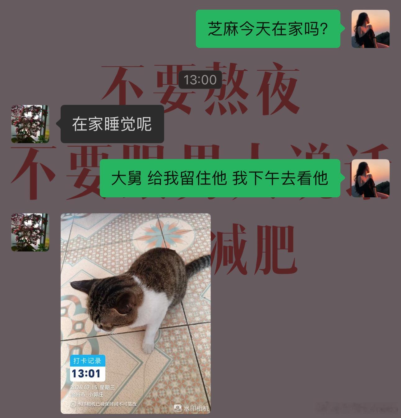 看望自己儿子竟然是预约制…不提前留住他就要出去玩 一天见不着猫影 直到晚上才回家