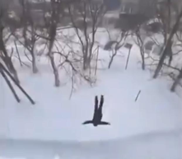 俄男子从5楼纵身跳进雪堆未受伤 这要是积雪下面有点东西，人砸上去了，那不得穿个孔