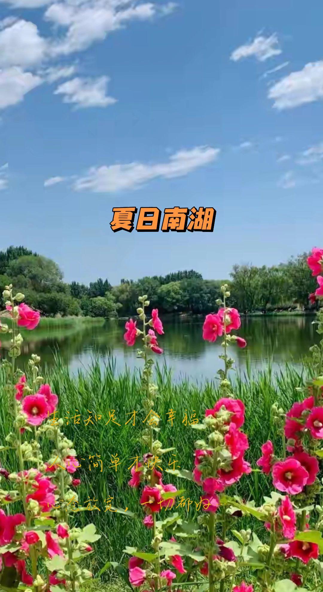 想起那首旧貌换新颜的曲子