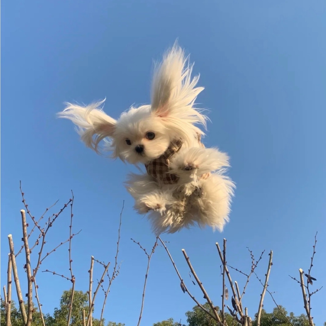 20240122日运指南今日乙酉这是一个风都可以成为刀子的日课，就好像昨天晚上日