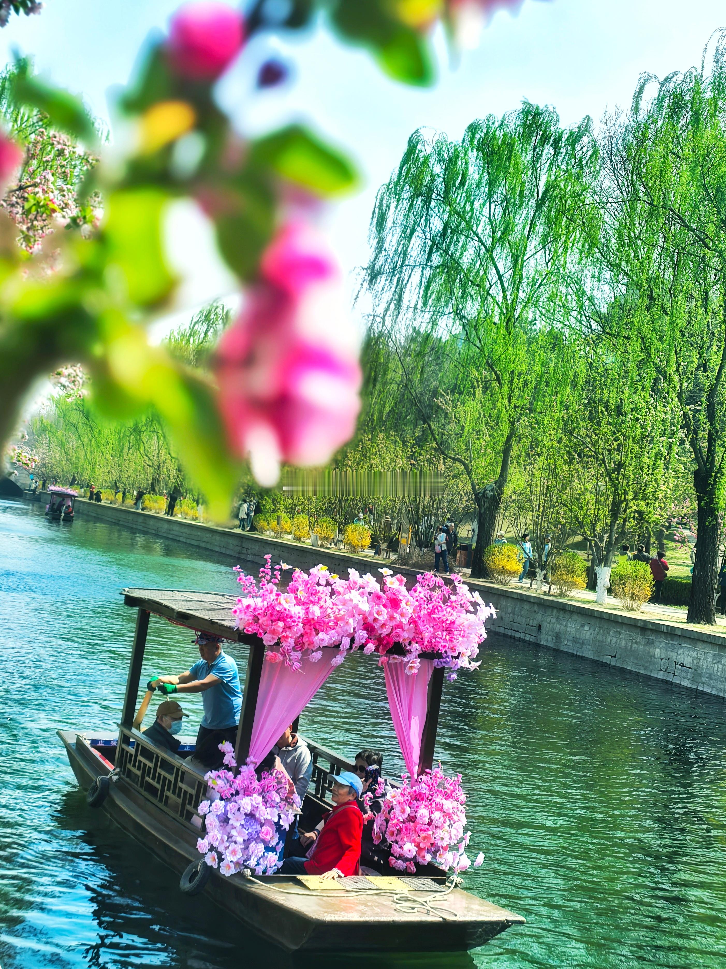 🌿🌸落花时节又逢君🌸🌿又是赏花好时节丁禹兮拍海棠花春游季遇见美好 北京·