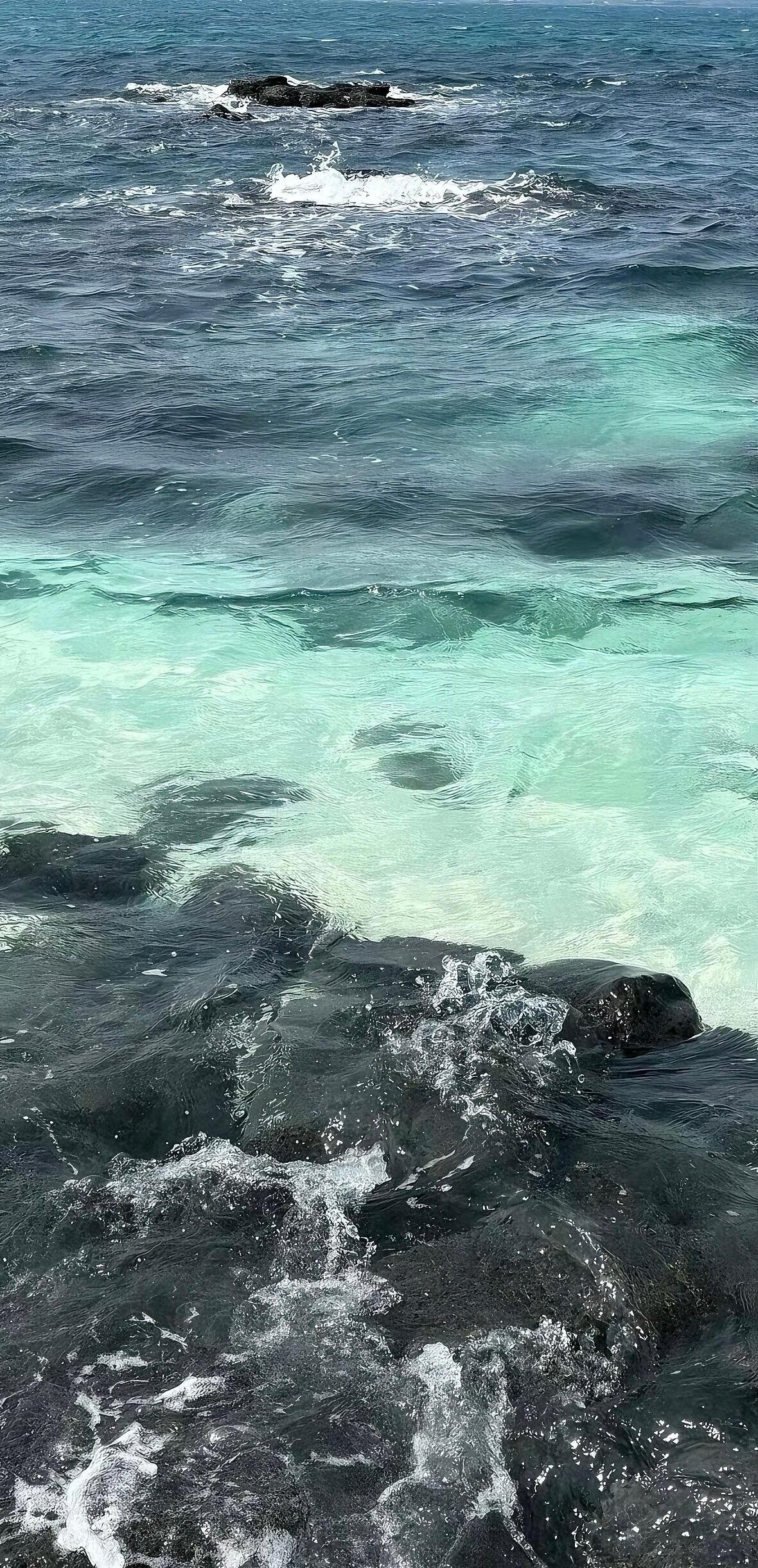 夏日背景图壁纸 