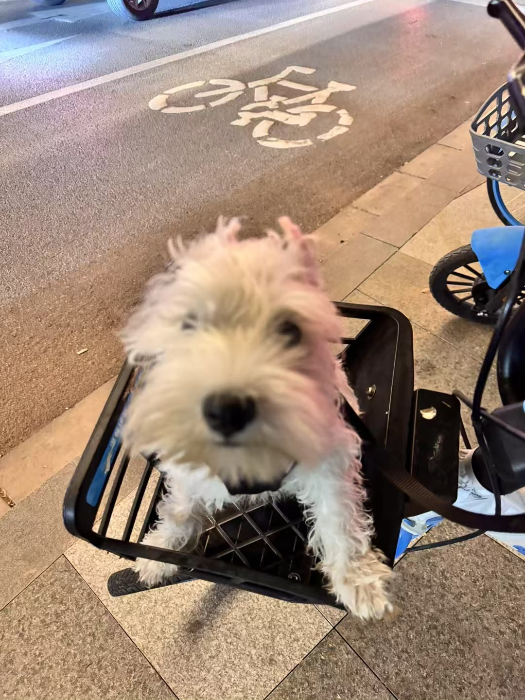 潦草老头儿 ​​​