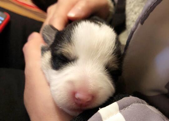 我也经历过魔童降世