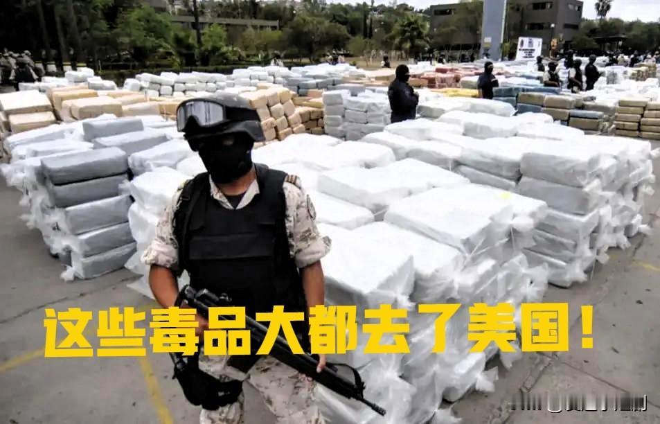 冰冻三尺，非一日之寒。墨西哥政府击毙毒枭，不过是治标不治本的举措。这一行动看似打