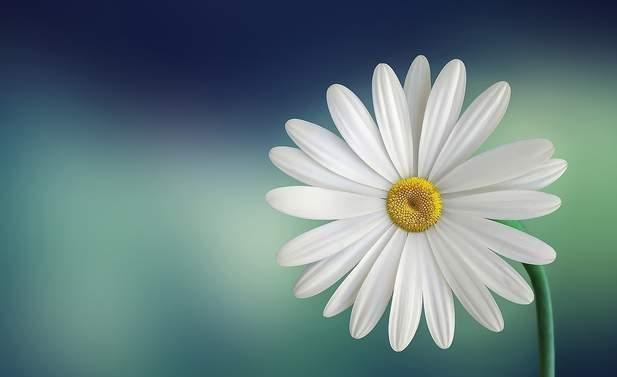 婚后丈夫上交工资卡给婆婆，让我自己养家，我没闹，次日婆婆傻了
 
“红梅，长河的