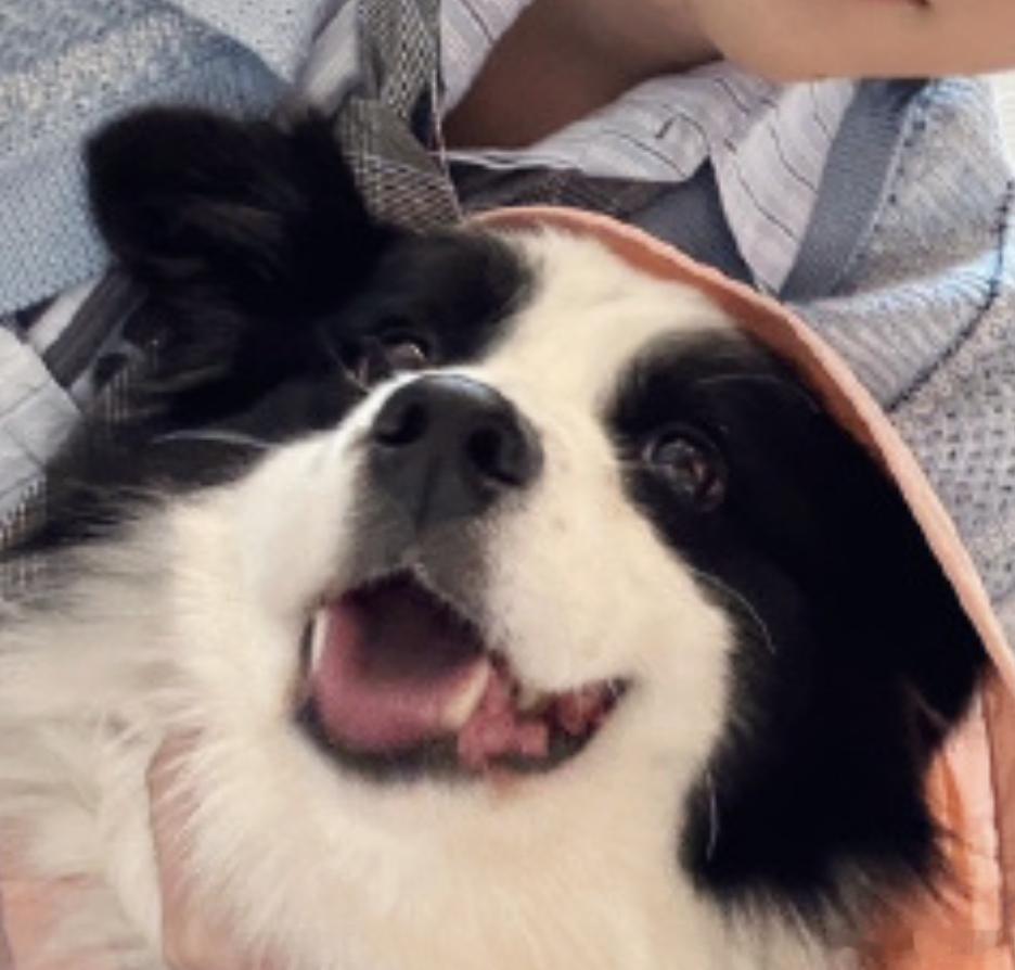 好漂亮呀我的小心肝，太美了 