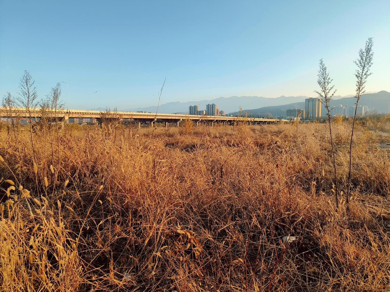 走上河堤，一股无形的力量牵引着我，身不由己，迎着太阳，向西而行。本意不该如此，背