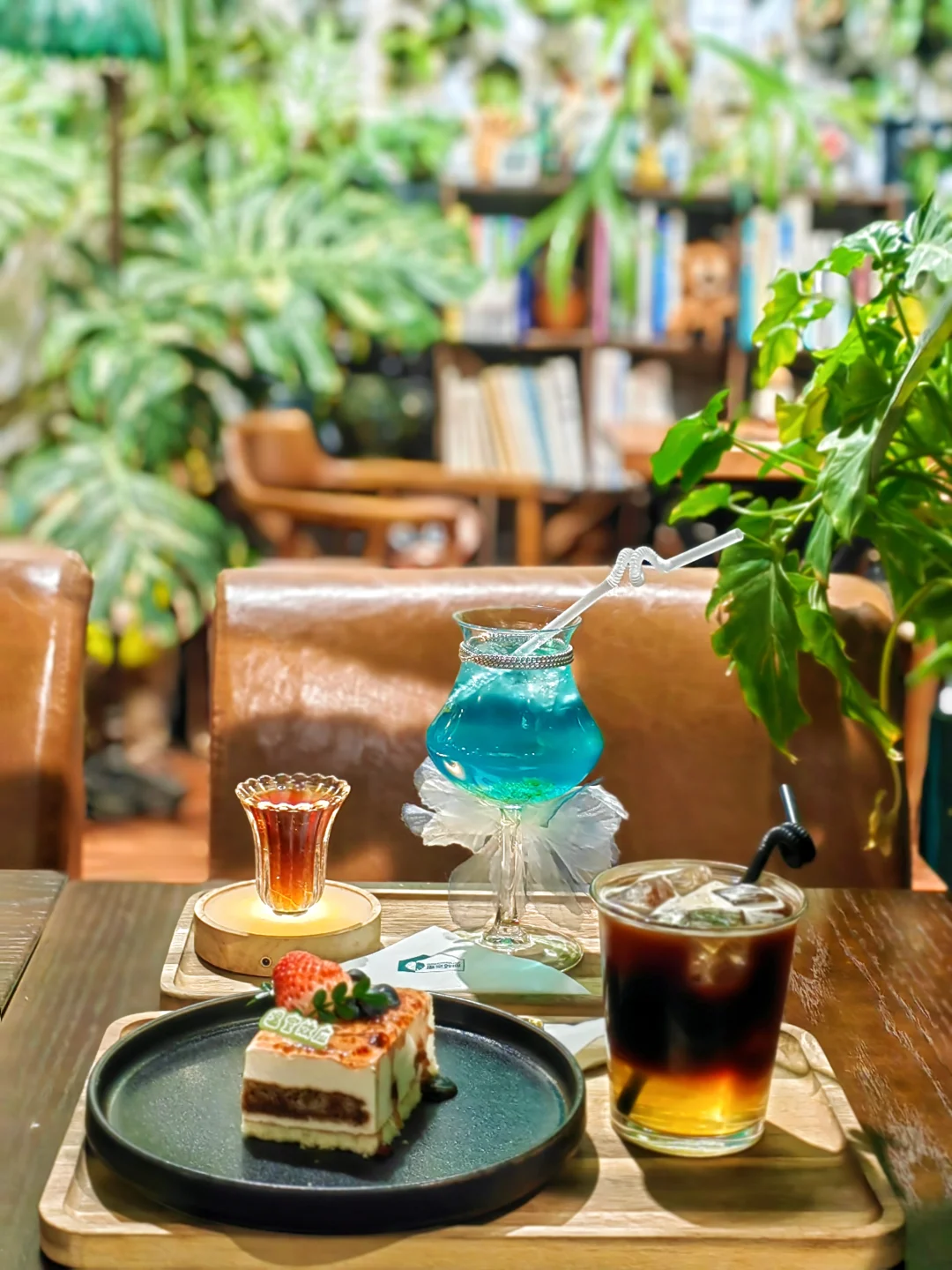 广州温室效应🌿可以疯狂吸氧的精神避难所