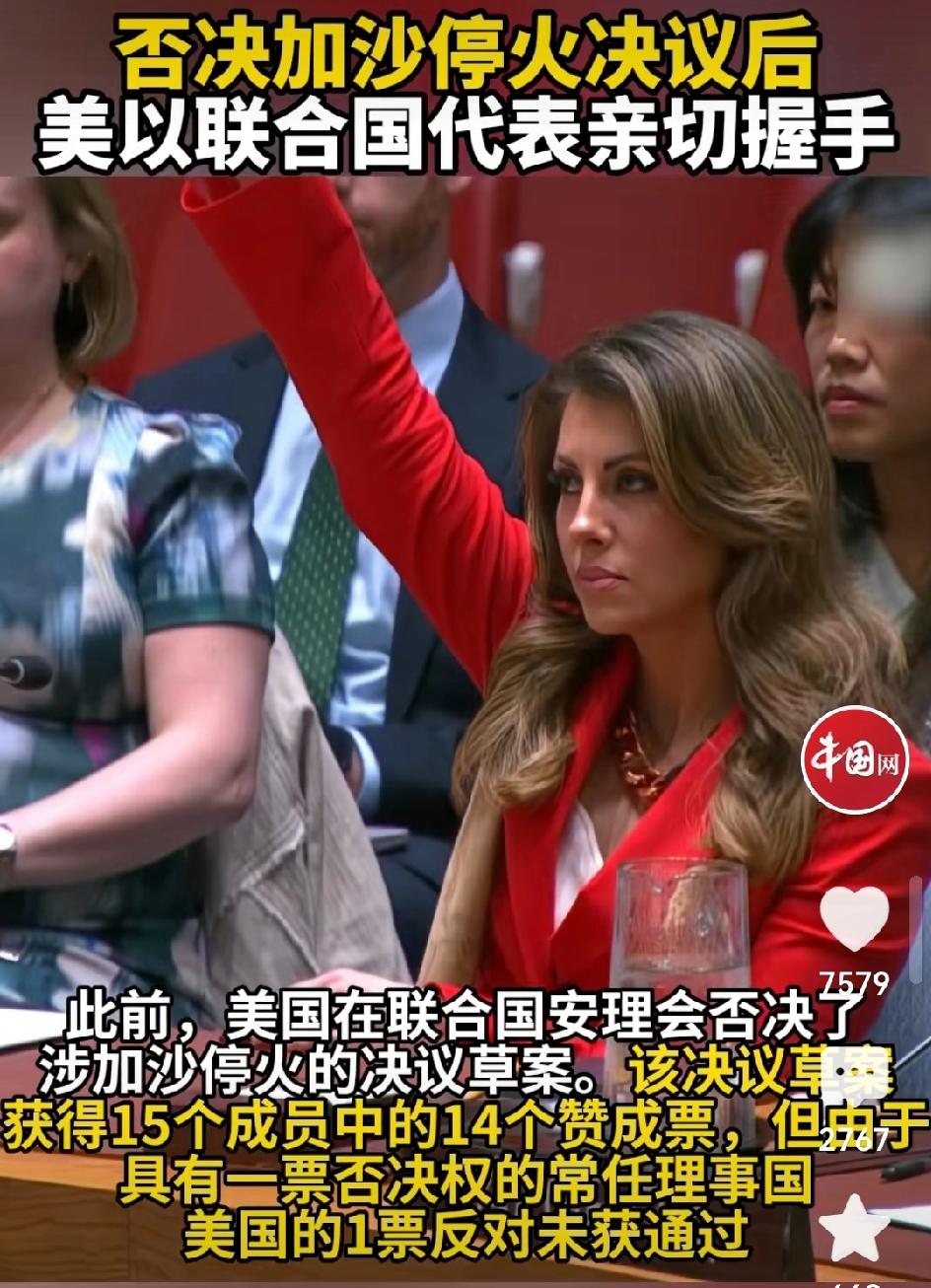 美国一票否决！

我们坚决反对！