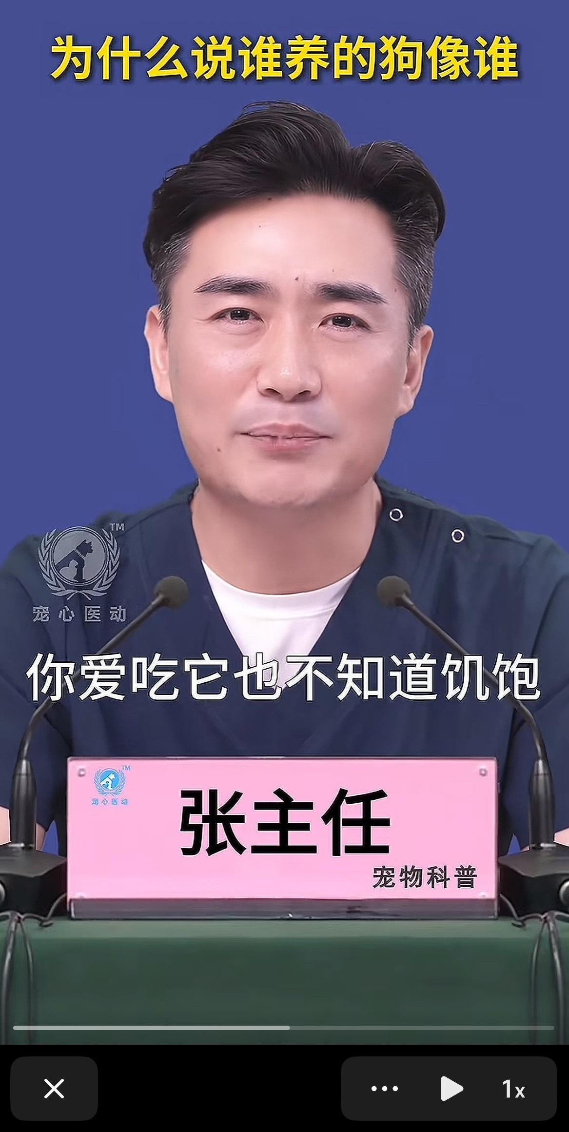 驴肉火烧 多麦馅饼 辣鱿鱼照烧鸡腿 炒米粉 火鸡面 红油面皮 辣卤卷饼饿死我了 