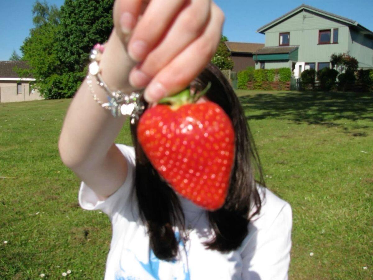 strawberry :3🍓 