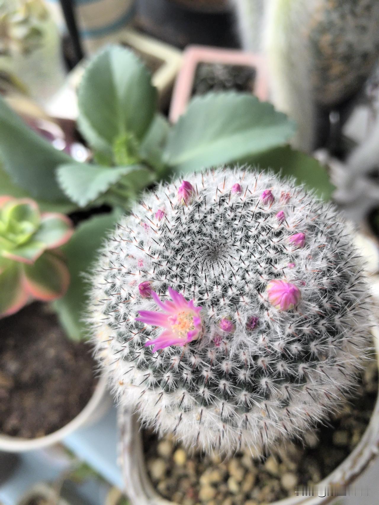 我从大的落地窗看向湖边，树木等植物格外绿，就像刚沐浴过的，极洁净，绿的颜色更加清