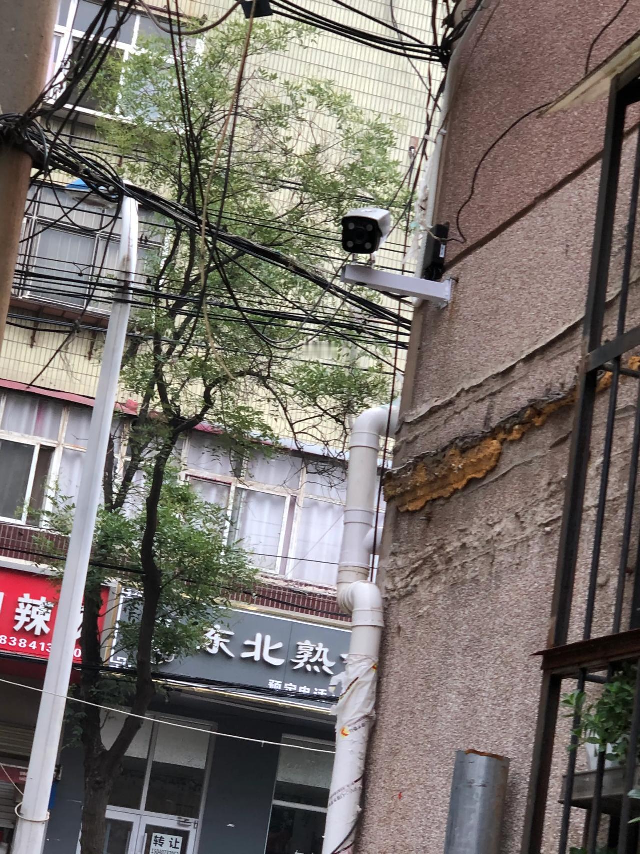 晚上下班回到院门口，里面亮起了淡淡的黄光，以为谁家装的灯泡凑近一看才看清原来是两
