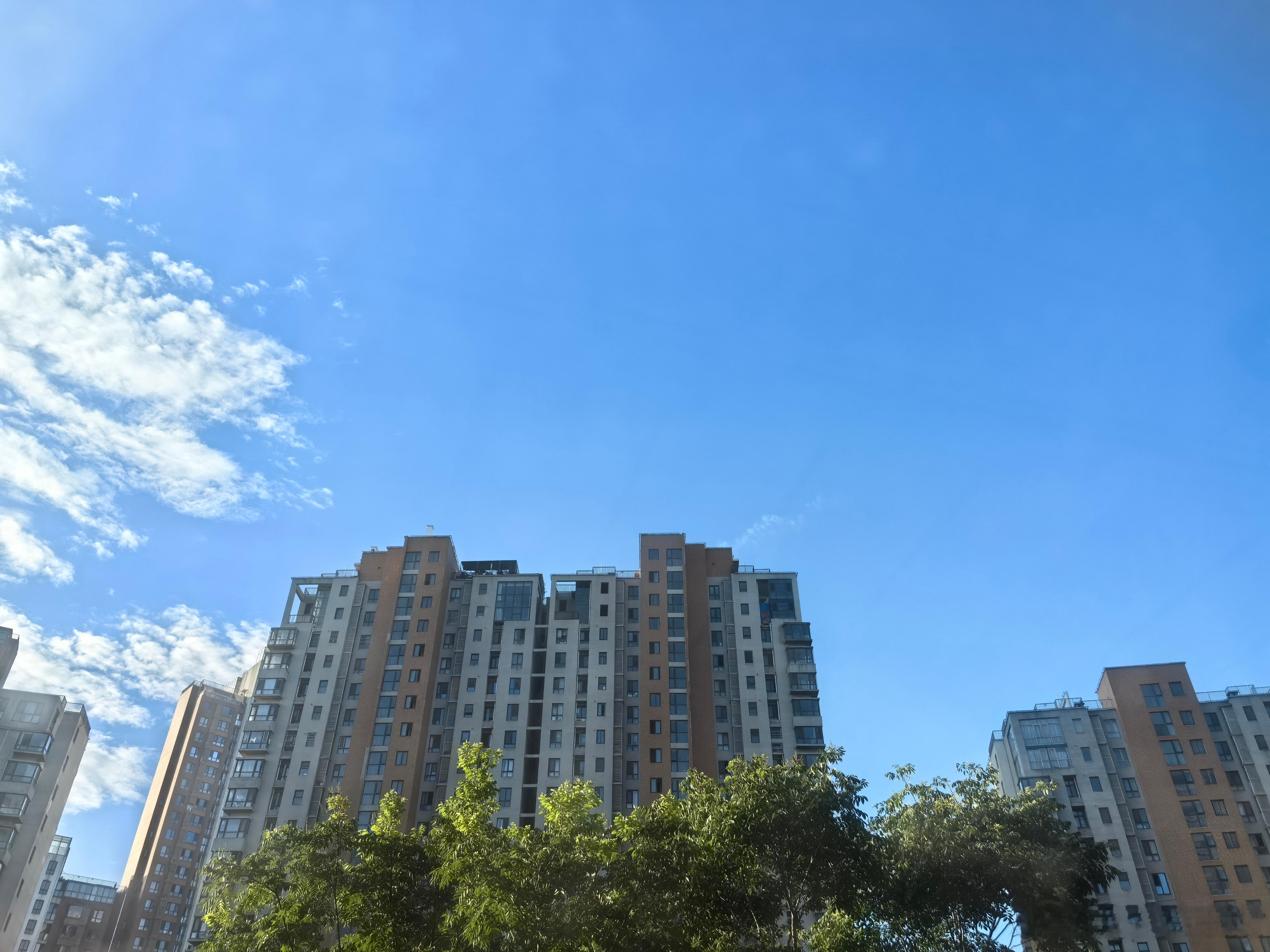 生活手记 天气不错呢，趁外面还不是太热，吃个早餐去公园溜达一圈🚶🏻♀️，活力