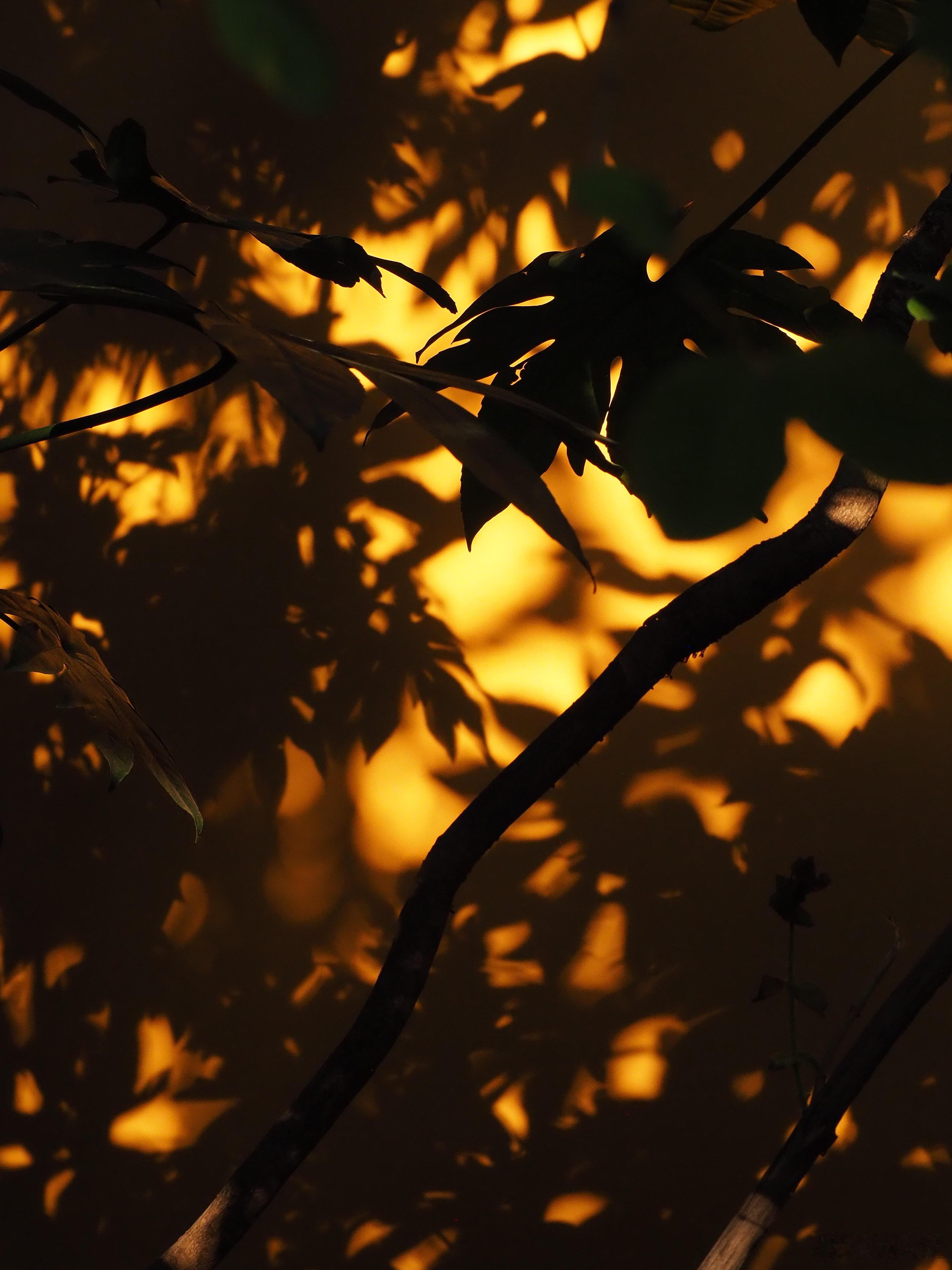 以松弛自然为理念做自己喜欢的事看起来节奏是慢了些但脚步并没有停下来一步一步来一日