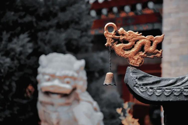 好运是藏在努力里的花，当自己活成一束光，好运自会寻光而至。

总有人说好运是天定