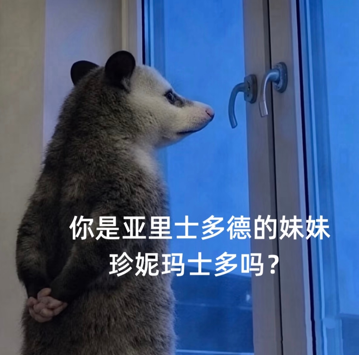 不辜负生活，不迷失方向 