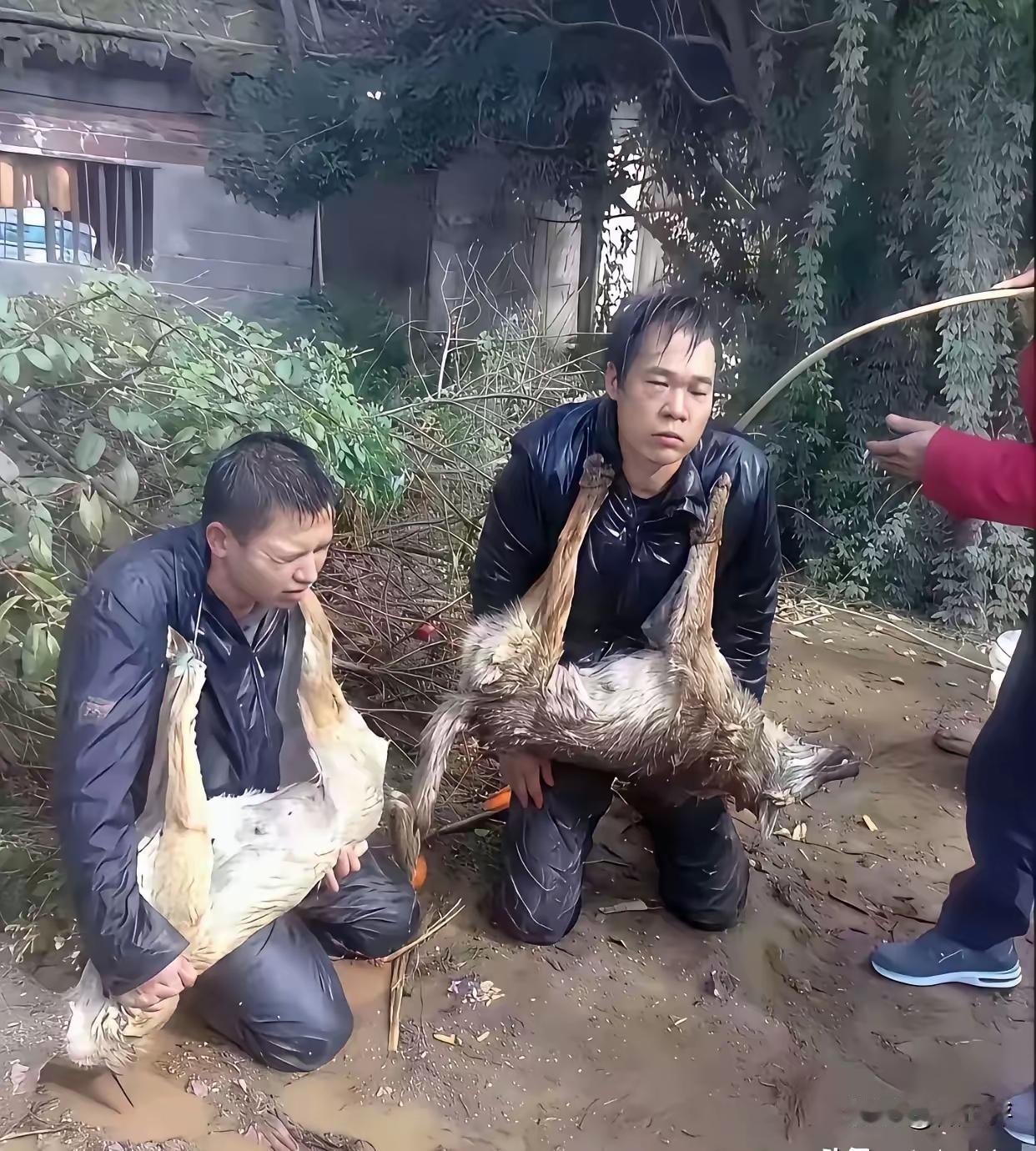 真搞不懂，这些人正值壮年，四肢健全，却不去找份正经工作，靠劳动赚取收入，反而干起