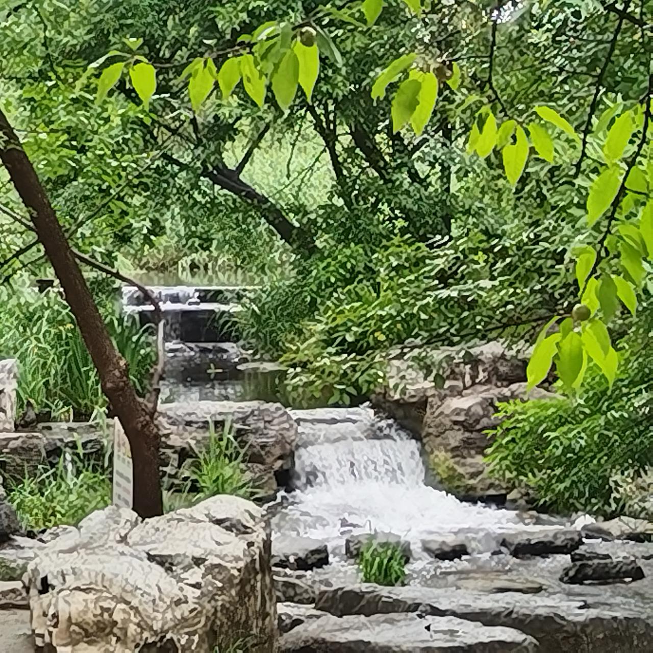 雨后的奥森，空气清新，草木旺盛。