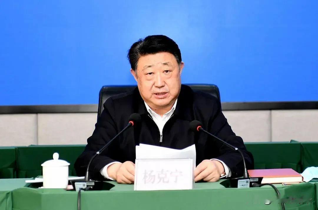 官场小说作家杨克宁不仅涉嫌受贿数额特别巨大，而且非法持有枪支、弹药。四川省政协原