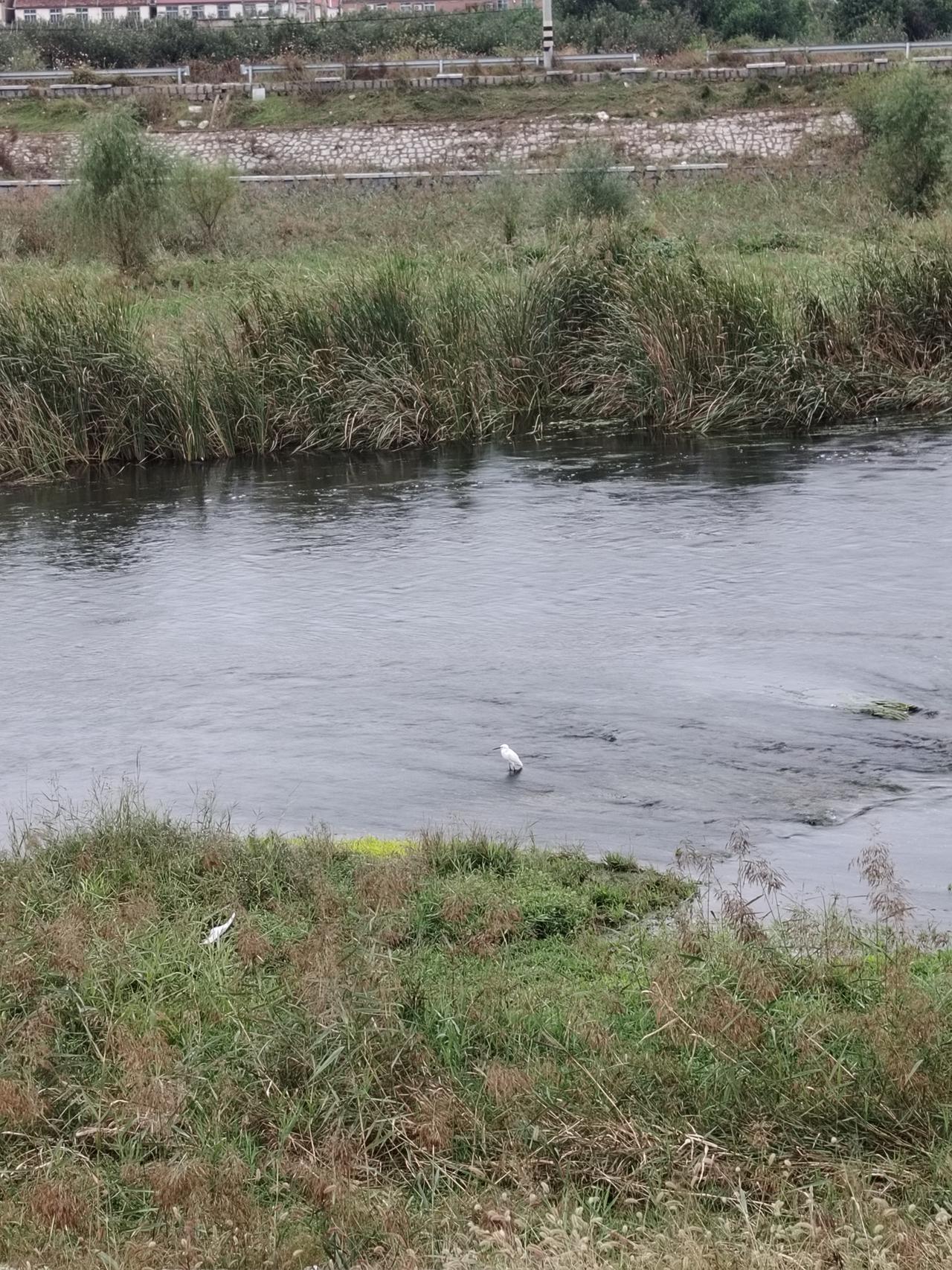 我们的一年：
春天你好；
夏天你好；
秋天你好；
冬天你好。

我们的一生：
春