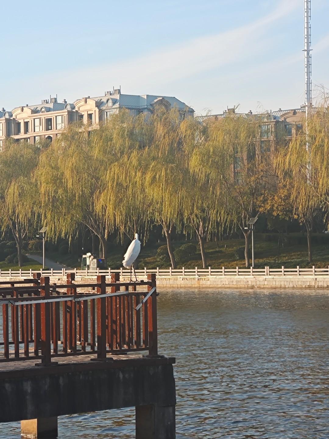 今天刷视频看到一个大夫说人一辈子不生病的秘密是:
（一）盐少放一点，油少放一点。