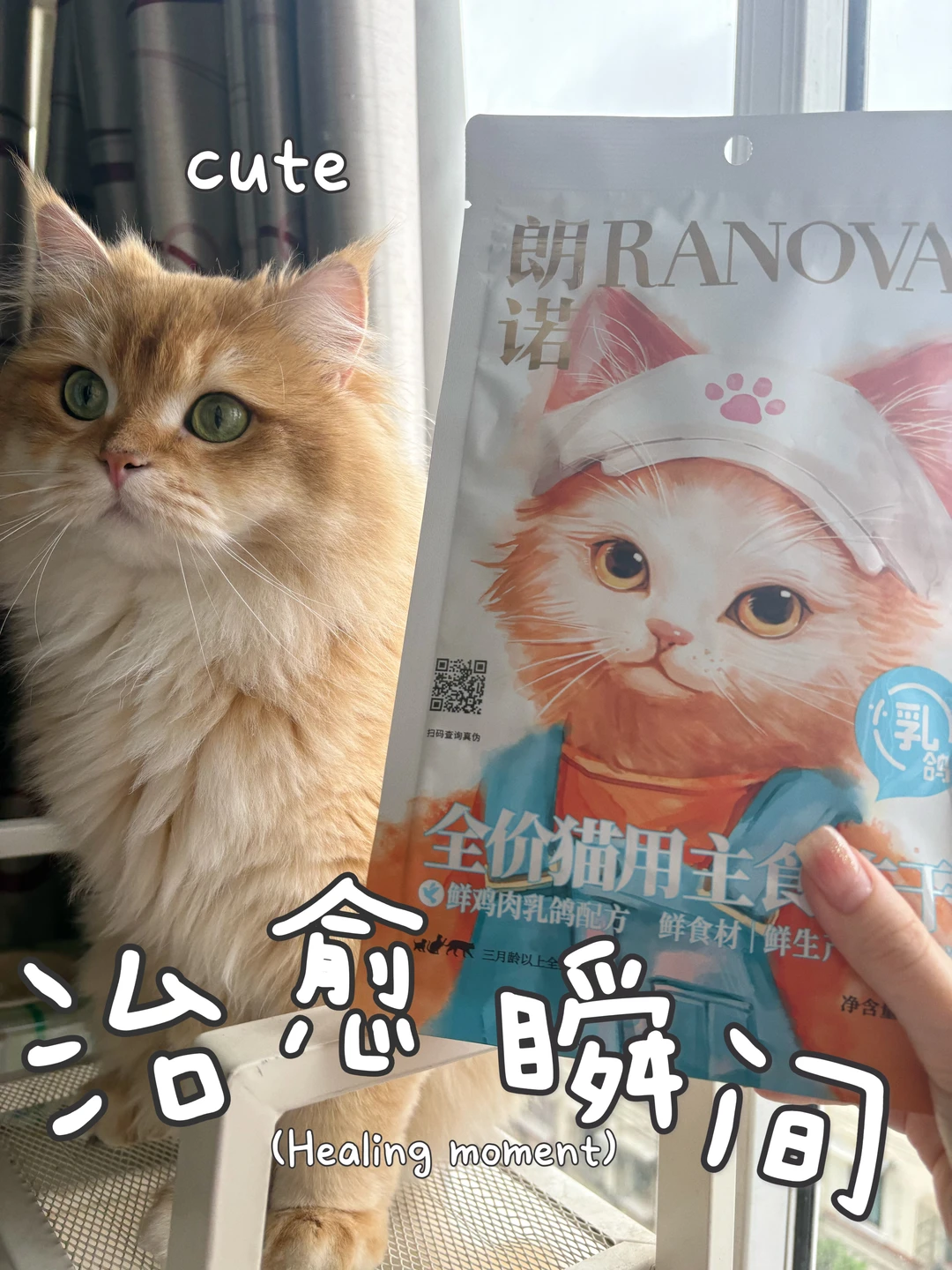 ✅养猫人必看！猫咪的健康小秘密‼️