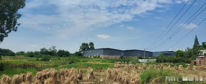 缺的不是蛮干是巧劲，不是照搬是适配！一村一貌、一地一产，就得靠因地制宜的精准政策