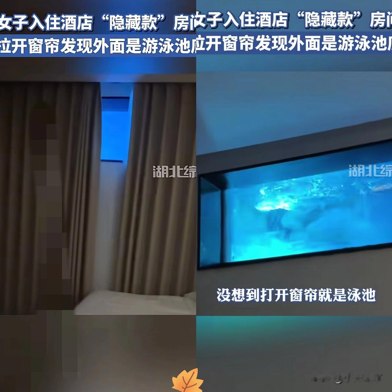 “解释不清了！”女子去西双版纳旅游，入住酒店后，想打开窗帘透透气，结果，窗帘一打