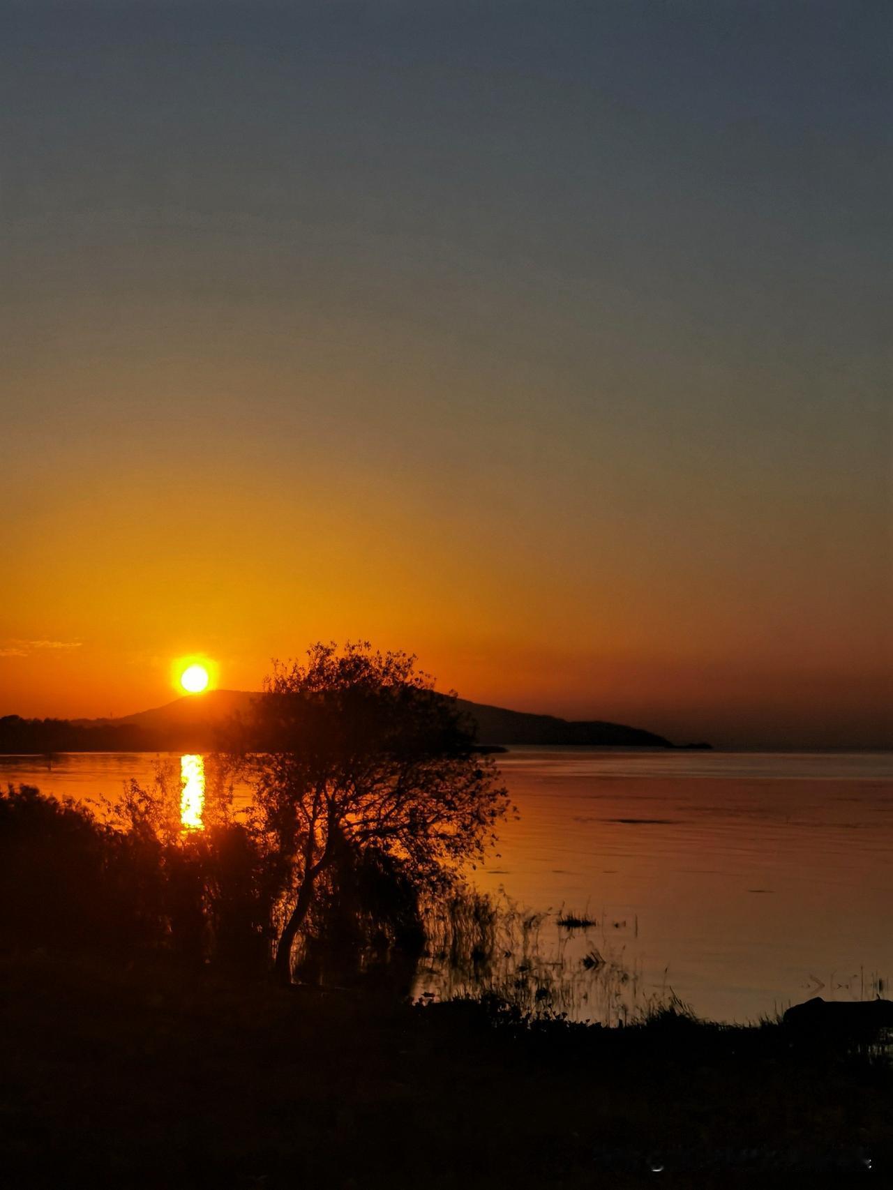 太阳慢慢往湖面沉，把湖水染成金红色，波光粼粼的，像撒了一湖碎金子。岸边的芦苇被照