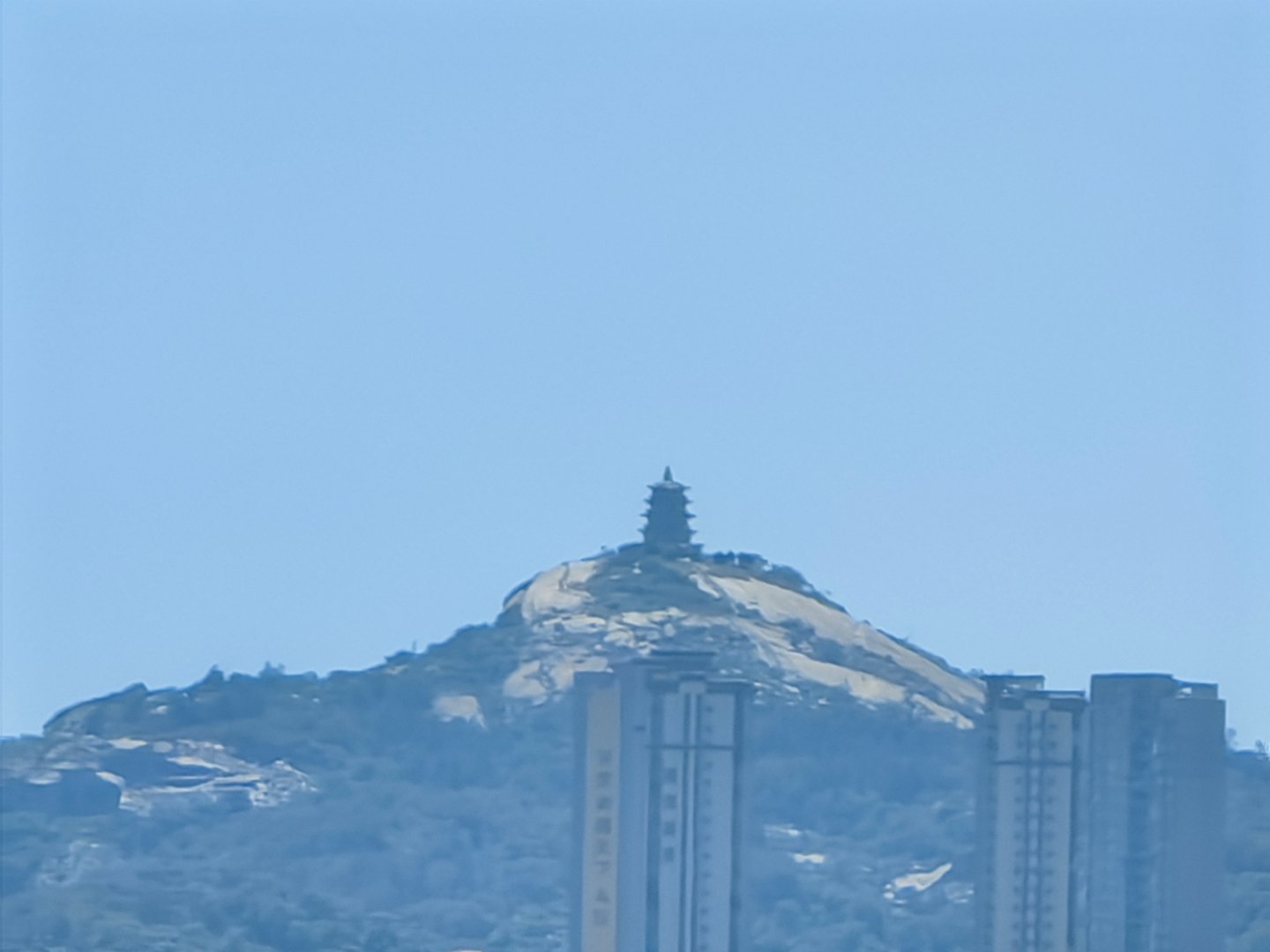 夏日不只是一种季节，更是一种心境——热烈、坦荡、充满无限可能。六一快乐！ 