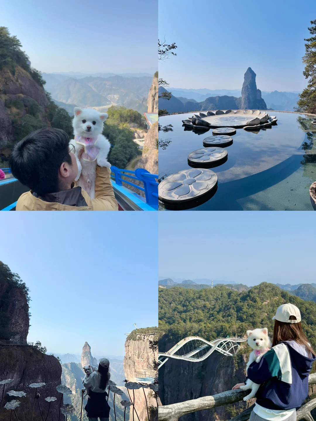 ⛰️台州神仙居｜带小狗轻松拿下速通版‼️