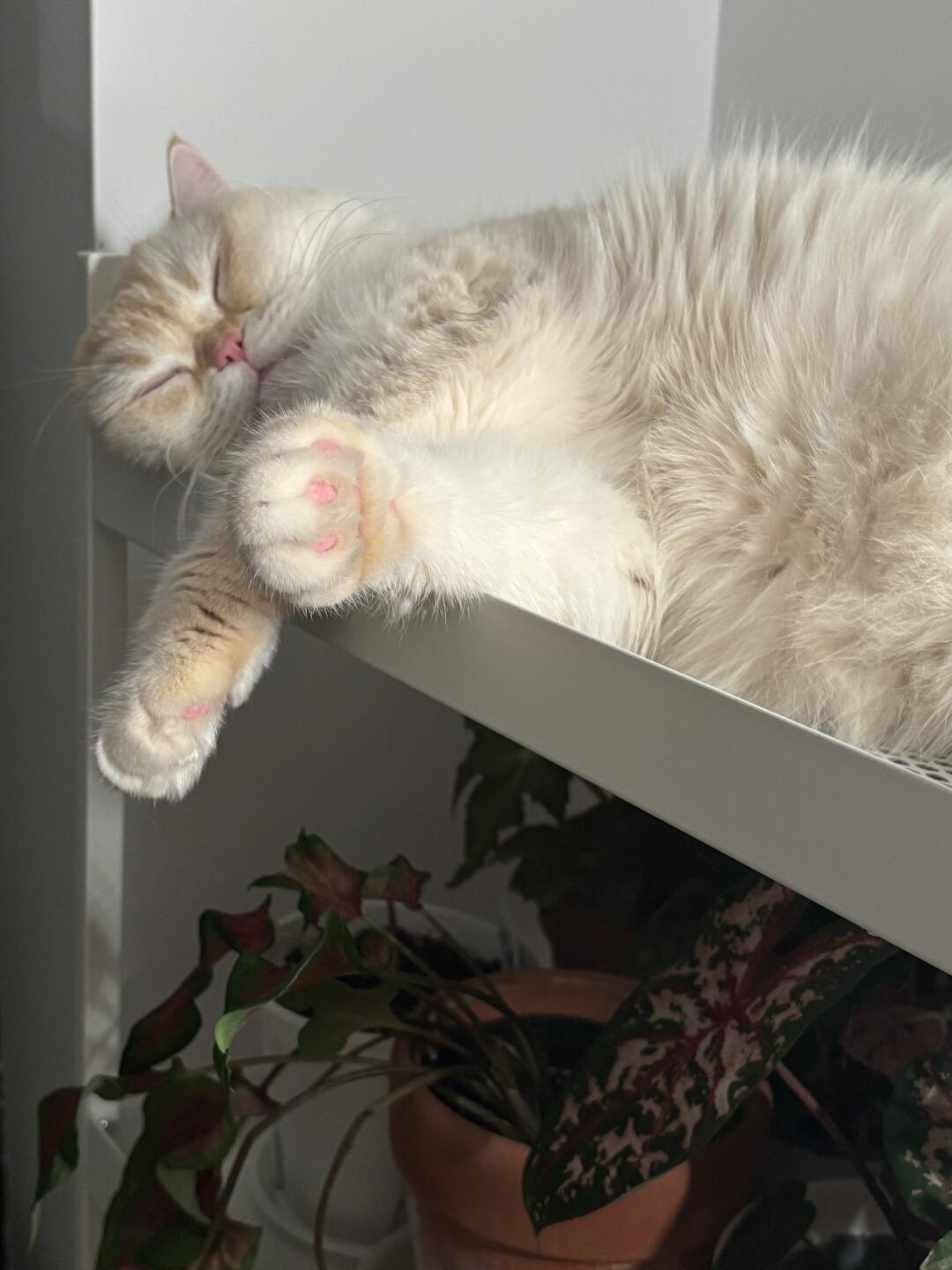 是时候戒一戒小宏书了