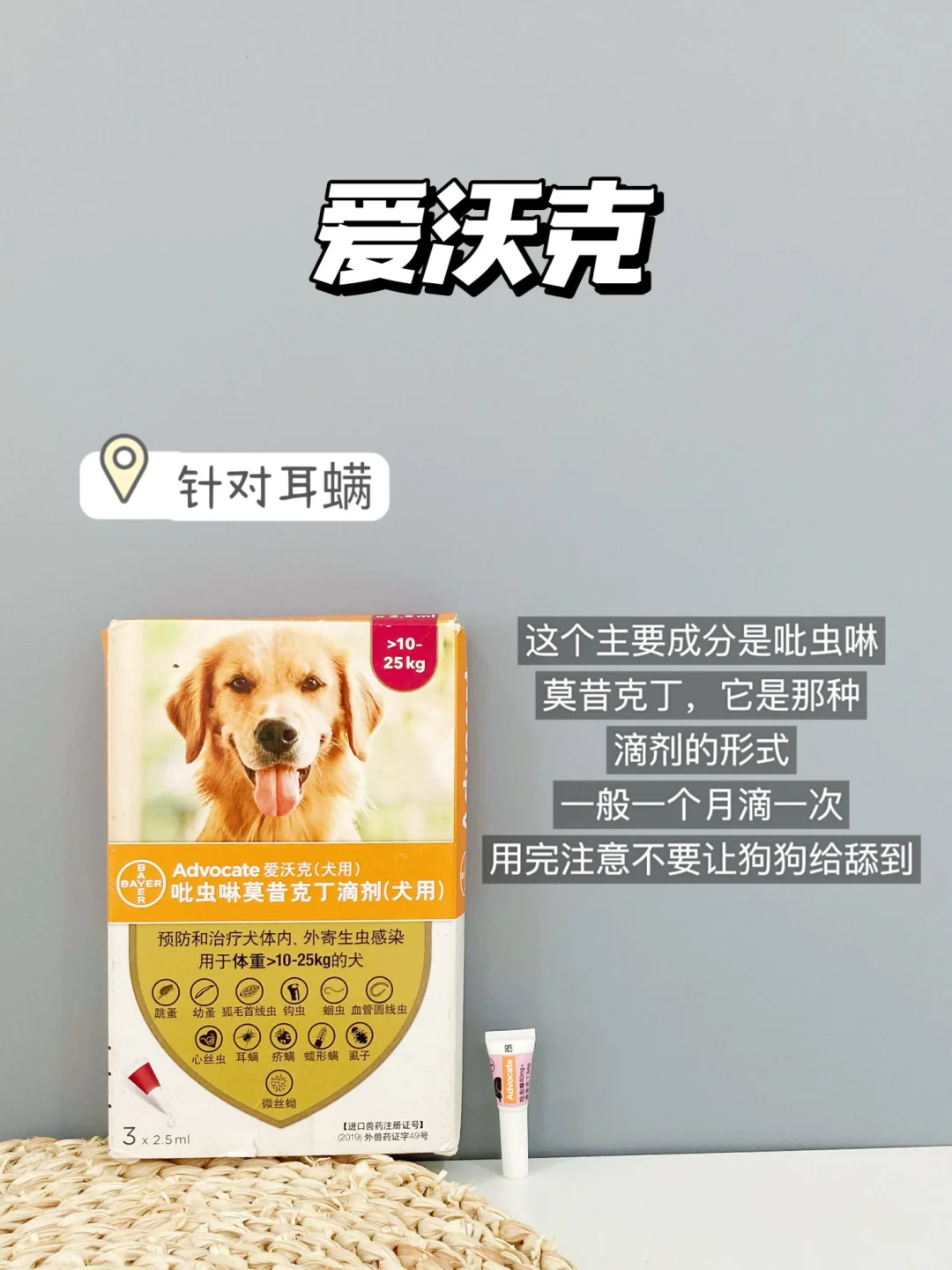 热门狗狗驱虫药选对不吃亏，拒绝智商税‼