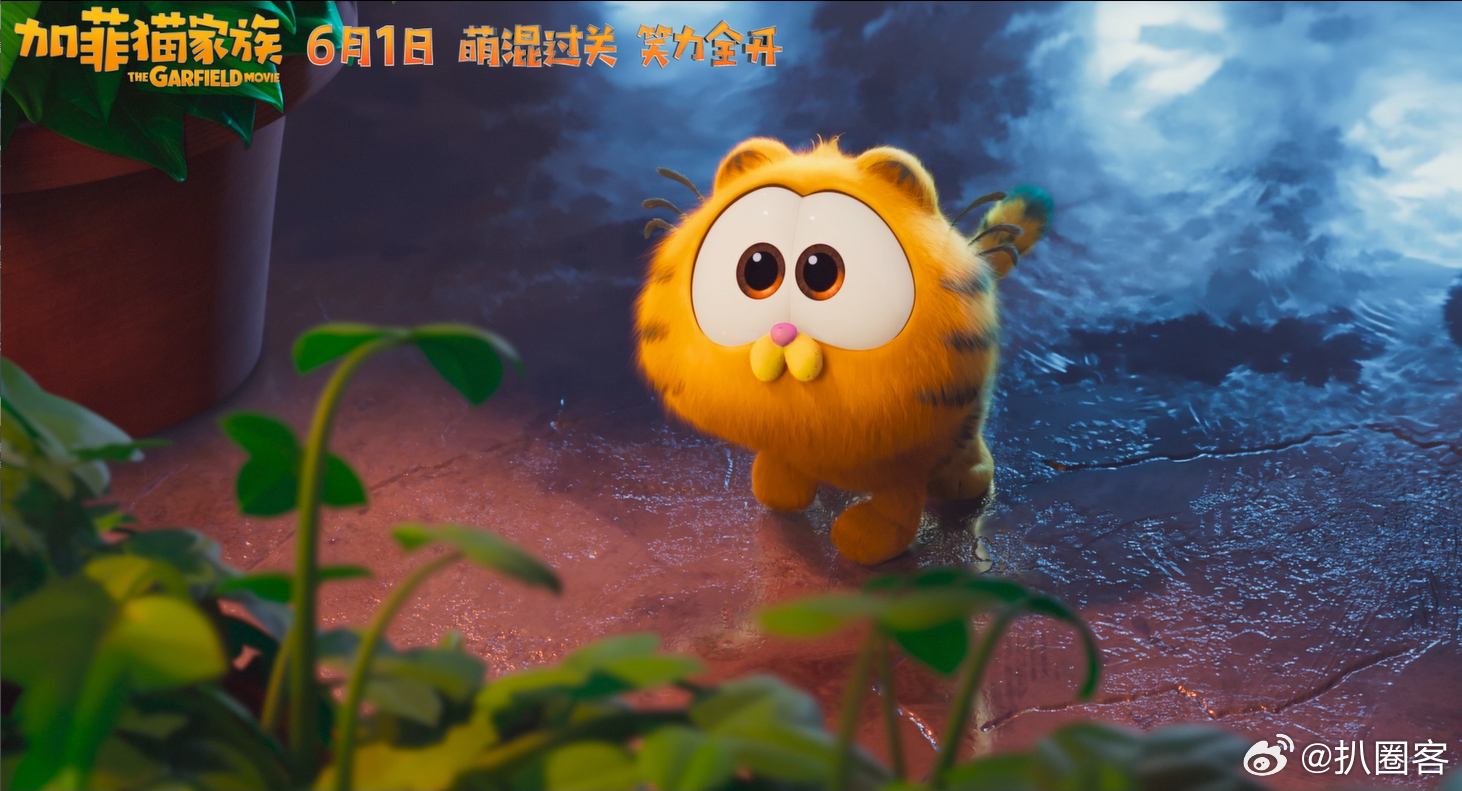 #正式被确诊为加菲猫#沙发上的加菲猫，那慵懒的姿态，简直就是我的日常写照啊！你们